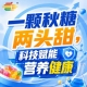 金秋南京，第115届秋季糖酒会，食饮新机遇，千载难逢